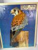 Jigsaw and 3D Puzzles Lot - 4