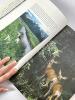 Wild Lands for Wildlife: America's National Refuges by Noel Grove - 3