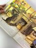 James Herriot Children's Book Bundle - 4