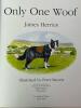 James Herriot Children's Book Bundle - 9