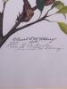 Two 11"x"14 (with matte) Carol L. McElderry Signed Limited Edition Cardinal Prints - 3
