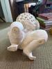 Hen-Feathers Resin Kneeling Child with Basket Planter - 4