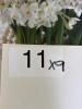 Lot of 9 Books on Entertaining and Party Planning - 11