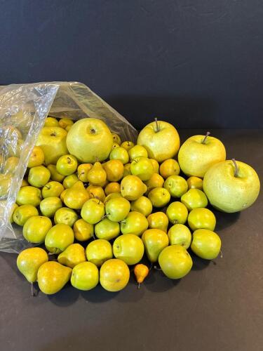 Bulk Lot Artificial Apples & Pears