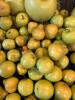 Bulk Lot Artificial Apples & Pears - 2