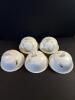 Set of 5 Enamelware Food Covers