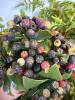 Mixed Artificial Greenery & Fruit Decor Collection - 3