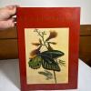 Classic Natural History Prints: Butterflies, Moths & Other Insects, 1989 Hardcover