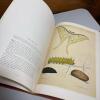 Classic Natural History Prints: Butterflies, Moths & Other Insects, 1989 Hardcover - 3