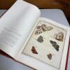 Classic Natural History Prints: Butterflies, Moths & Other Insects, 1989 Hardcover - 5
