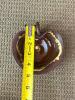Handcrafted Redware Heart-Shaped Trinket Dish with Decorative Scrolls - 4
