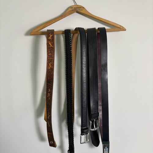 Set of 5 Men&rsquo;s Belts &ndash; Vintage Leather with Wildlife Pattern, Levi&rsquo;s, Braided, & More