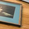 17&rdquo; x 13&rdquo; Framed 1984 Humpback Whale Photo, Signed - 6