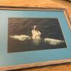 17&rdquo; x 13&rdquo; Framed 1984 Humpback Whale Photo, Signed - 7