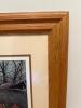 25" x 21" Framed Limited Edition Print "One Dozen Tulips" by Thelma Winter - 4