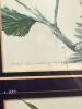 9" x 29" Framed Michele Colley-Coop Signed Limited Edition Bird and Botanical Prints - 2