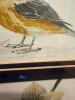 9" x 29" Framed Michele Colley-Coop Signed Limited Edition Bird and Botanical Prints - 5