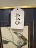 9" x 29" Framed Michele Colley-Coop Signed Limited Edition Bird and Botanical Prints - 11