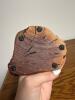Running Wolf Figurine on Burl Wood Base - 3