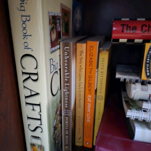 Mixed Lot of Books and Cookbooks &ndash; Craft, Fiction, Non-Fiction, Trivia