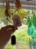 Large Glass Wind Chime Collection - 6