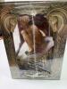 Lord of the Rings: Two Towers Collector&rsquo;s 5-Disc DVD, Gollum Figure and Book Gift Set - 2