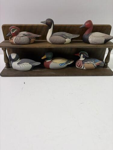 Six Avon Collector Duck Series Set on Wooden Display Shelf