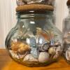 Glass Jars of Assorted Sea Shells - 2