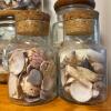 Glass Jars of Assorted Sea Shells - 3