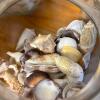 Glass Jars of Assorted Sea Shells - 6