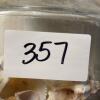Glass Jars of Assorted Sea Shells - 8