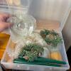 Assorted Candle Lot with Wax Melts, Holders & More - 6
