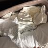 Assorted Household Linens Lot - 5