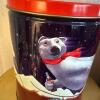 Twelve Coca-Cola Collectible Tins - 8