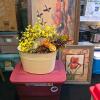 Home Decor and Kitchen Lot