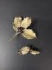 Museum Company Sterling Silver Leaf & Berry Jewelry Set