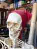 Two Animated Pirate Skeleton Halloween Props by PAC - 3