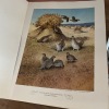 Gun Dogs at Work Portfolio by Edwin Megargee, 4 Prints - 3