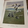 Gun Dogs at Work Portfolio by Edwin Megargee, 4 Prints - 5