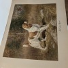 Gun Dogs at Work Portfolio by Edwin Megargee, 4 Prints - 6