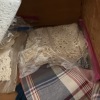 Crochet Lace Linens and Other Items - 5