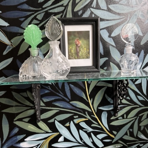 Glass Shelf with Vintage Perfume Bottles and Mini Framed Photo