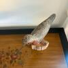 Hand-Carved Bar-Tailed Godwit Shorebird by Richard Norman - 3