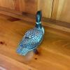 Carved Wooden Common Loon Decorative Decoy - 3