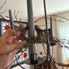 Wrought Iron Hanging Six-Light Taper Candle Chandelier - 5