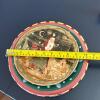 Mixed Holiday-Themed Five Piece Ceramic Dinnerware Set - 10