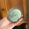 Farmhouse Decor Lot - 3