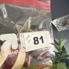 Farmhouse Decor Lot - 16