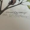 12.5" x 15.5" Framed "Cardinal" Limited Edition Print, Signed and Numbered 789/1000 - 5