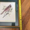 12.5" x 15.5" Framed "Cardinal" Limited Edition Print, Signed and Numbered 789/1000 - 7